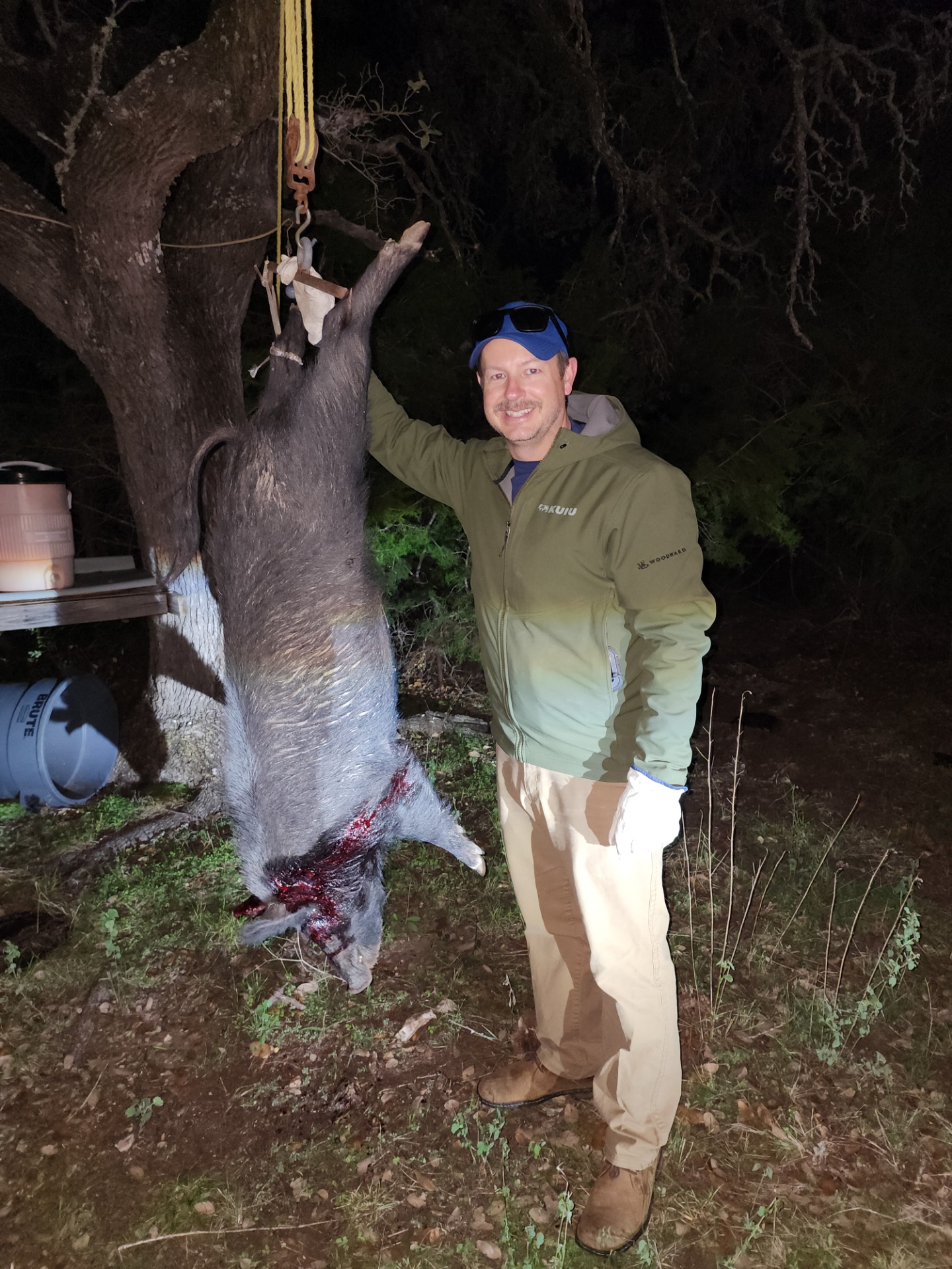 Texas Wild Hog